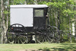 Horse Carriage