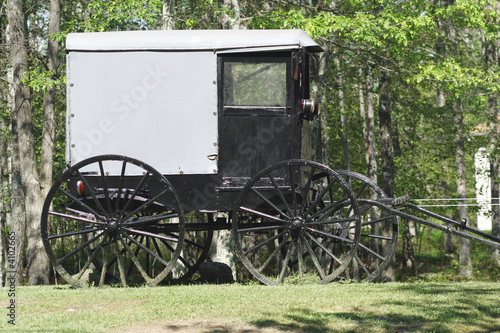 Photo: Horse Carriage Horse Carriage