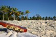 An einem Strand auf Tonga