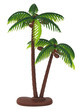 cocotier