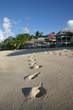 Strand auf der Nordinsel von Western Samoa