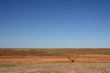 Im Outback Australiens, Alice Springs