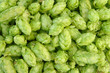 green hops