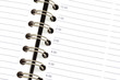 Daily appointments sheet - opened agenda background Daily appointments sheet - opened agenda background