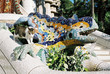 lizard fountain, barcelona lizard fountain, barcelona