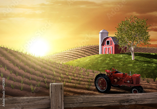 Morning on the Farm