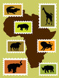 african animals