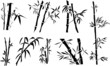 Bamboo