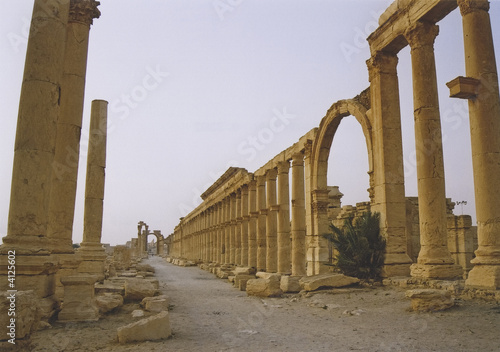 palmyra