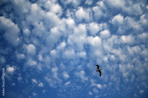 cumulus cloud