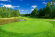 Round tee beside a pond