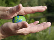 fragile earth