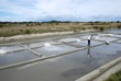 marais salants marais salants