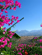 crete crete