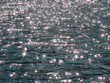 Foto: Sterne im Wasser Sterne im Wasser