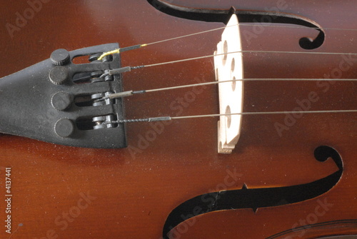 violino