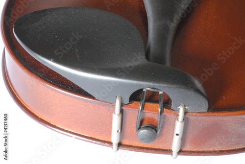 violino violino