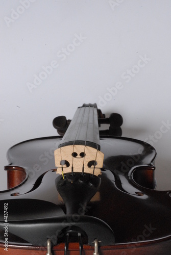 violino