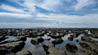 plage de boue