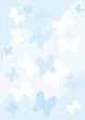 blue butterflies