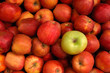 Apples