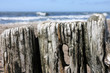 Piles