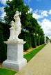 Versailles gardens