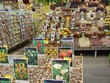 Flower store