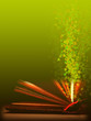 Leaves background with open book