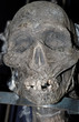 Corpse