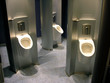 Moderne Herren Toilettenanlage