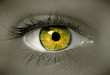 oeil doré