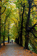 Schnelli Park