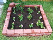 Small Garden Small Garden