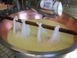 parmesan1
