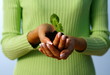 new life protection hands holding a small plant