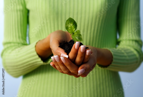 Photo: new life protection hands holding a small plant new life protection hands holding a small plant
