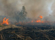 Fire 7