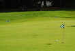golf2