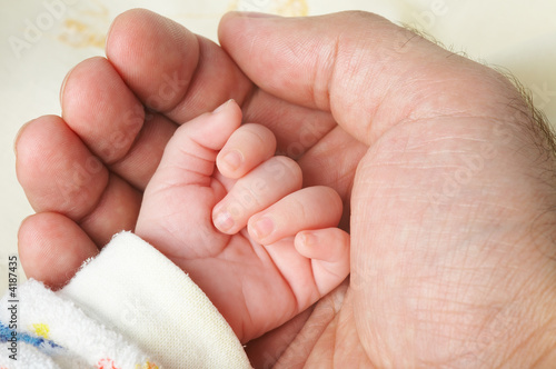 Foto: Baby hand in father's palm Baby hand in father's palm