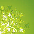 Floral abstract background, vector 