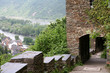 Rheinblick