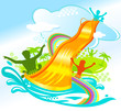 water fun