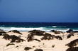 White Dunes White Dunes