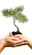 is in our hands