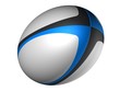 Photographie : Ballon Rugby
