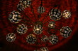 Latin Lights