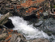 Water Stream Water Stream