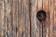 wood  texture