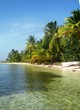 Playa Salvaje Dominicana